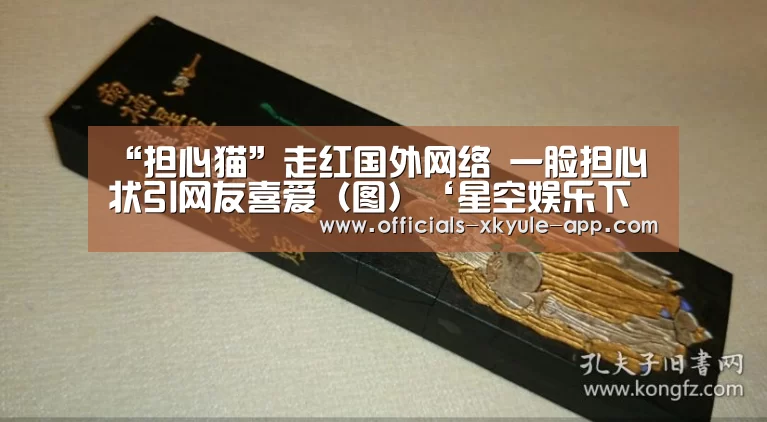 “担心猫”走红国外网络 一脸担心状引网友喜爱(图)‘星空娱乐下载’(图2) 星空娱乐