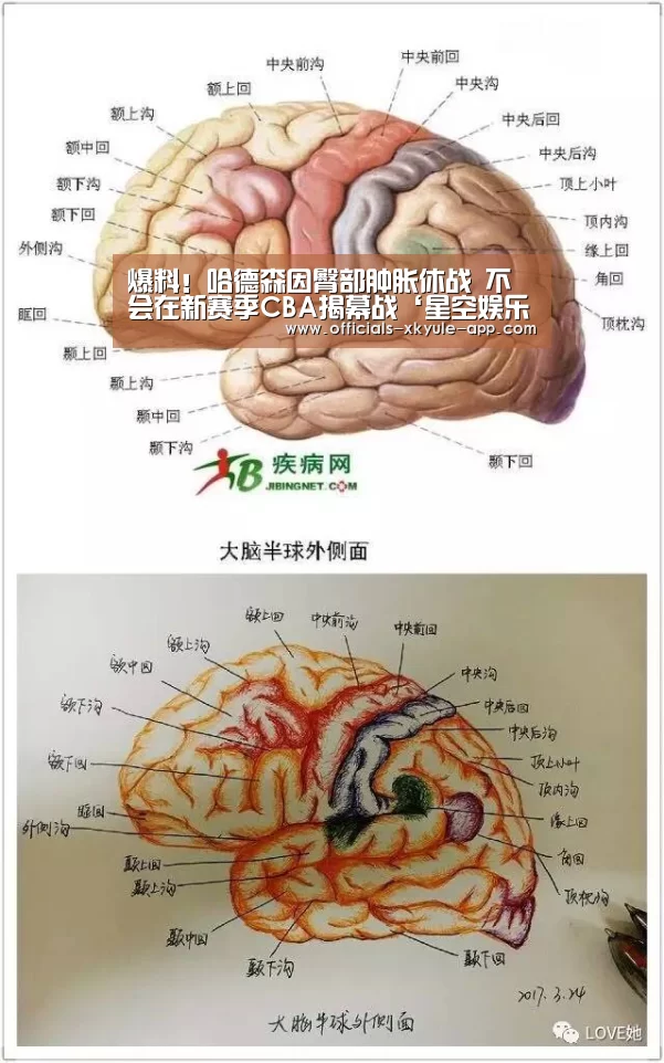爆料！哈德森因臀部肿胀休战 不会在新赛季CBA揭幕战‘星空娱乐app’