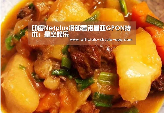 印度Netplus将部署诺基亚GPON技术：星空娱乐