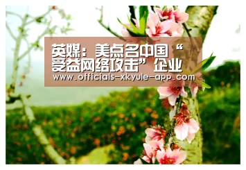 英媒:美点名中国“受益网络攻击”企业 宝钢否认|星空娱乐app(图3) 星空娱乐app
