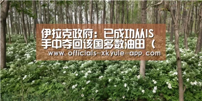 伊拉克政府:已成功从IS手中夺回该国多数油田(图):星空娱乐(图3) 星空娱乐官网